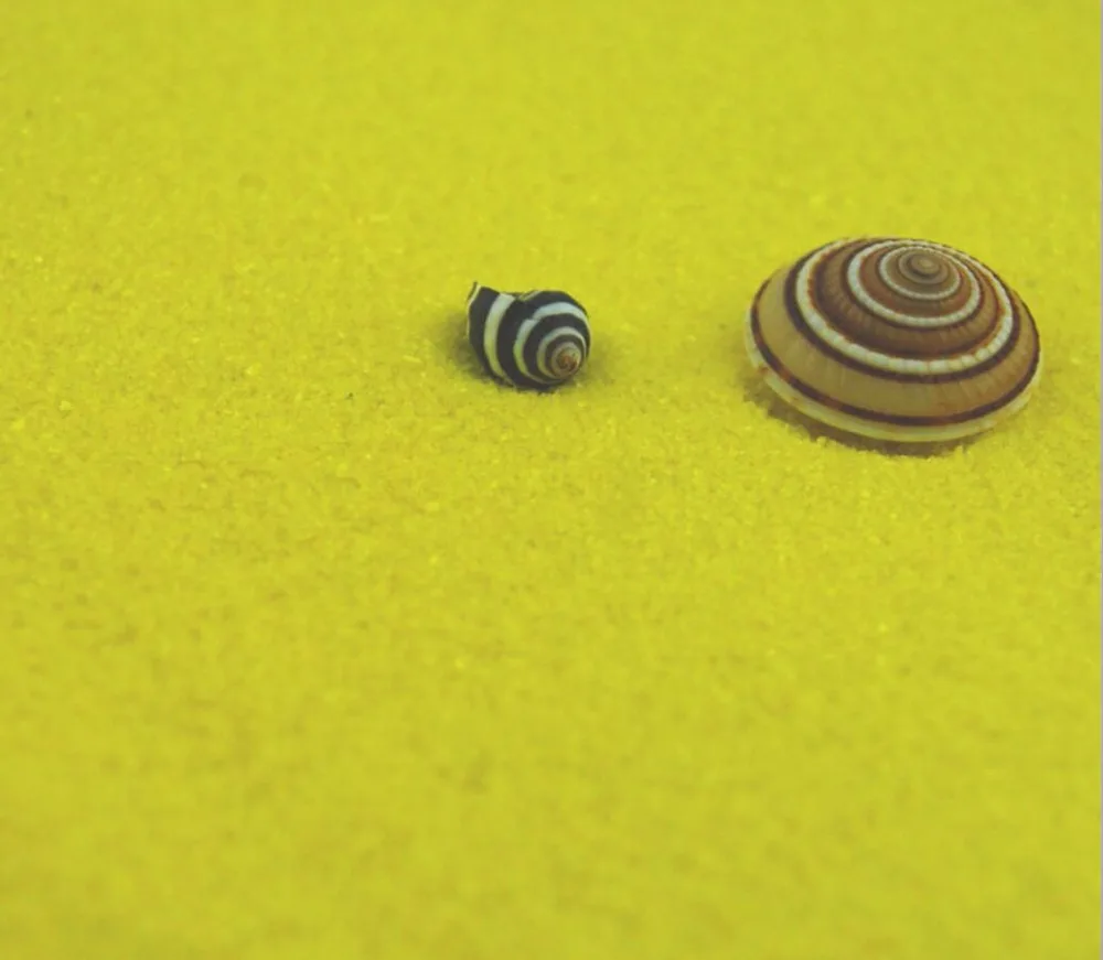 1 кг желтые речные пески для фантастических миниатюрных садовых сказочных гномов