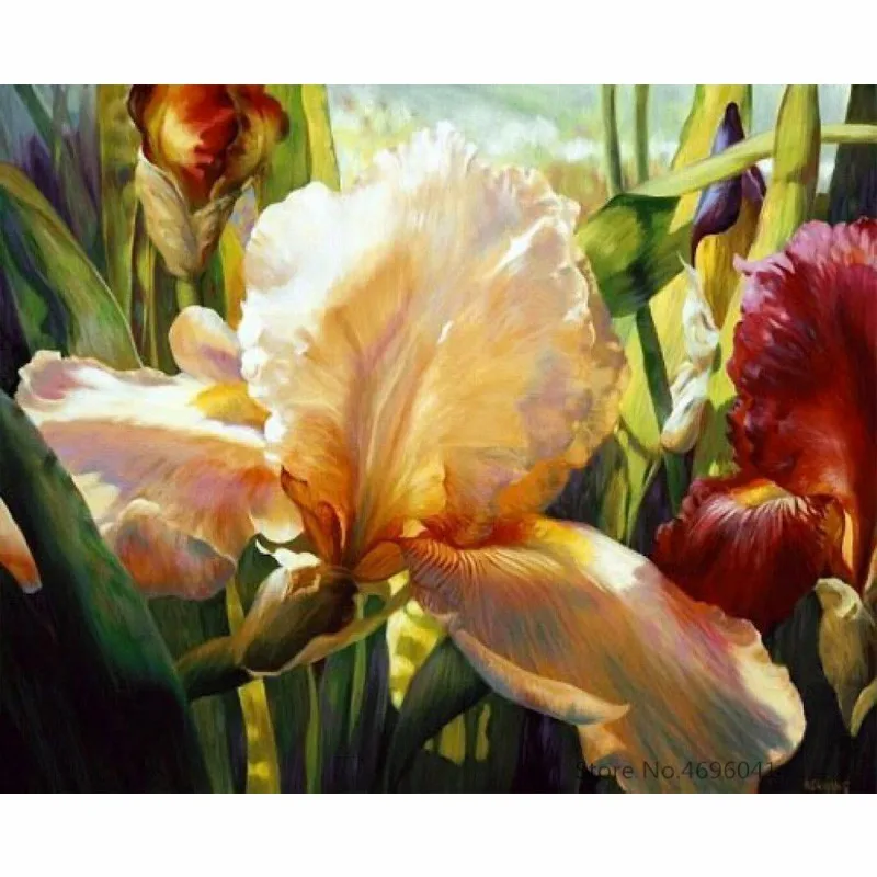 Картина по номерам рамка Раскраска изображения Декор для дома холст живопись