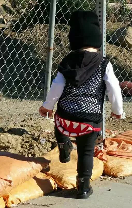 Ins * новые 2016 unisex детские мальчики девочки хлопок шаровары акула дизайн kids fashion