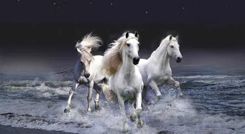 Galloping horse office wall painted fabric poster 43&quotx 24&quot 24 &quotx 13&quot Decor 05 | Дом и сад