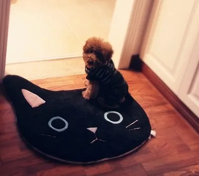 

PAYSOTA Japanese Style Rug Cute Cat Carpet Antiskid Toilet Mat