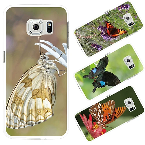 Природа насекомых бабочка чехол для Samsung S4 S5 S7 край|cover for samsung s4|case covercover |