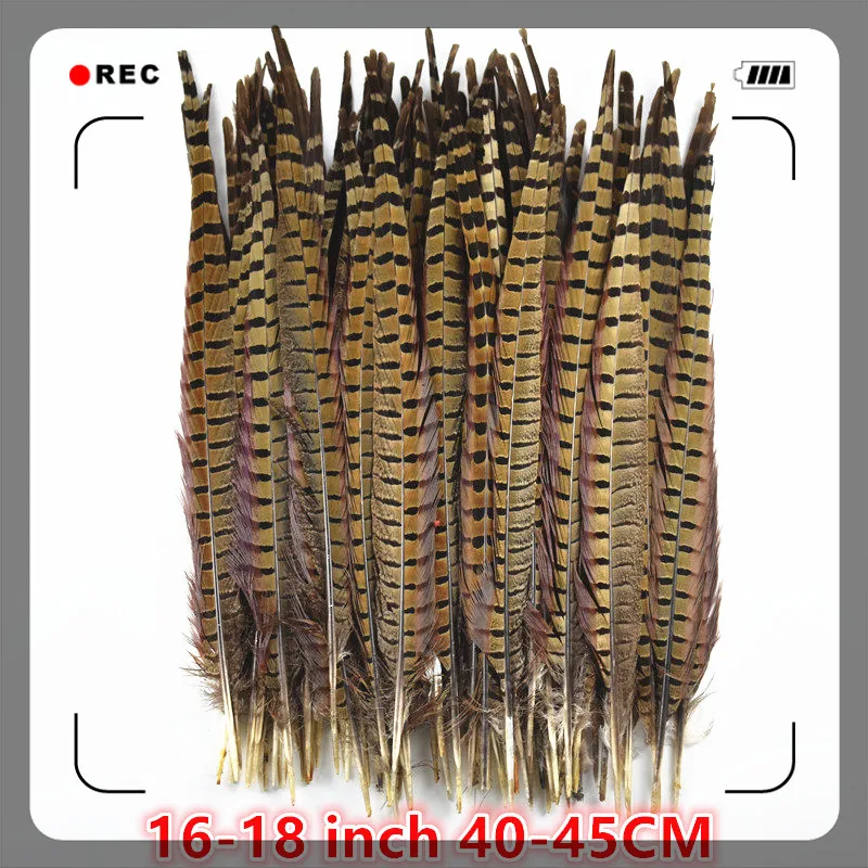 10 шт./лот натуральные Ringneck Перья из хвоста фазана для Рукоделия 25-75 см 10-3" Свадебные украшения фазан перья Плюмы - Цвет: 40-45CM 16-18Inch