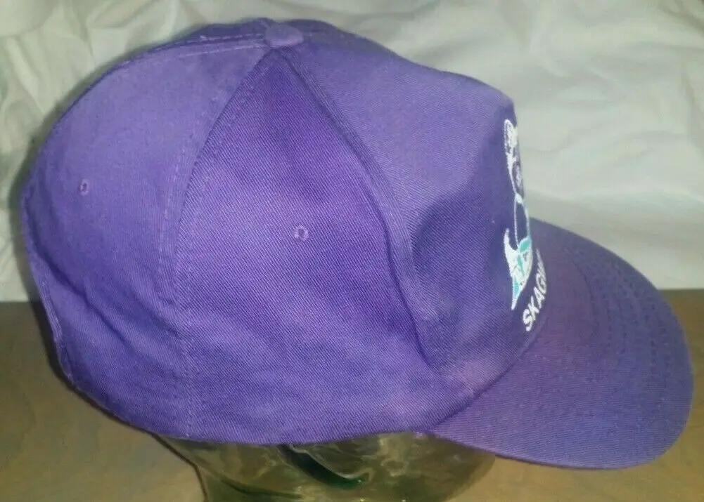 Напечатанный Snapback Skagway Аляска шляпа бейсболка Бейсбол Кепки | Аксессуары для