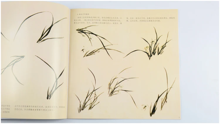 Коллекция орхидеи для рисования свободная ручная живопись техника цветов книга