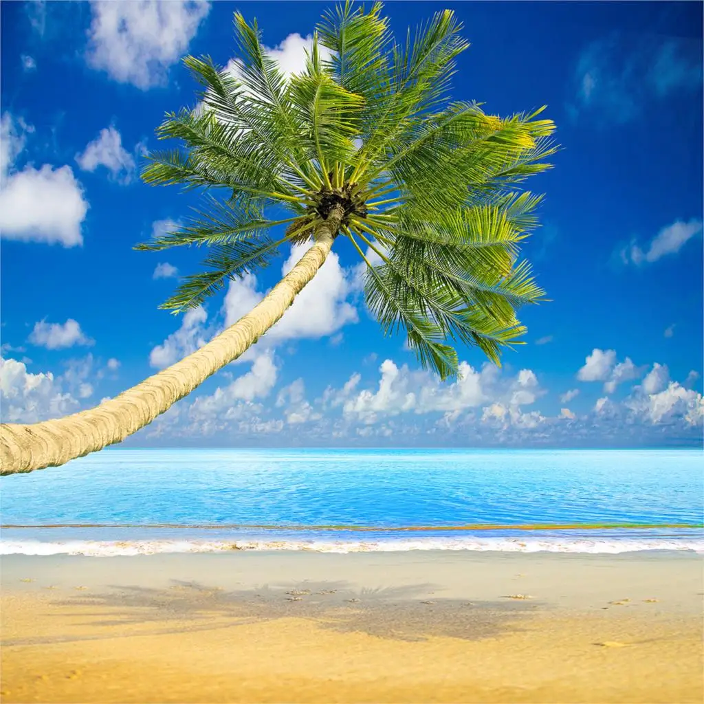 Allenjoy фото фон лист пляж Карибского моря остров солнце море дерево облако Отдых