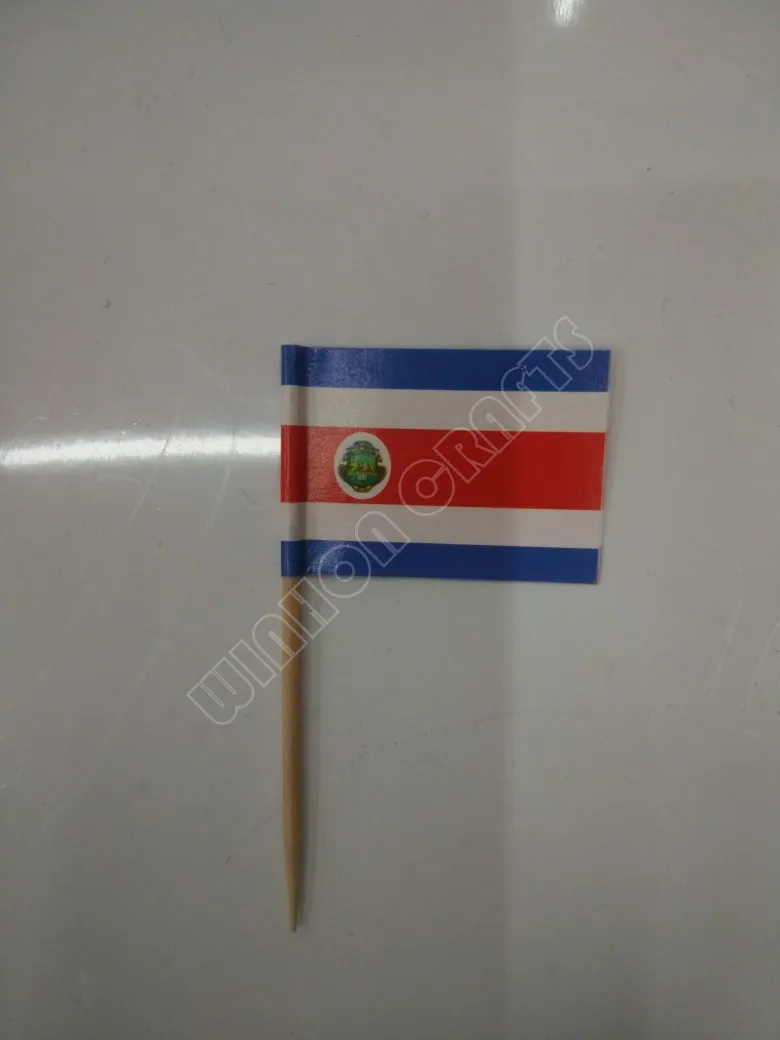 

Мини флаг Коста-Рики 500 шт., Упакованные бумажные пищевые палочки, обеденные пирожные, зубочистки, украшения для кексов, фруктовые коктейльные палочки для вечеринок