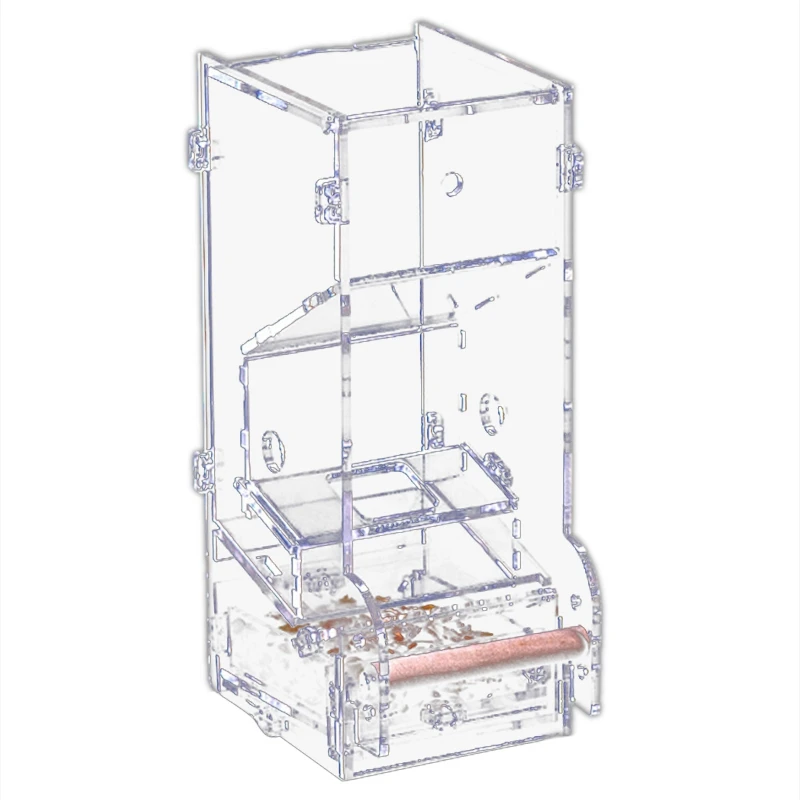 Acrylic Feeder Bird Automatic Feeders Food Ontainer For Pigeons Parrot Starling Pet Birds Feeding Devic | Дом и сад