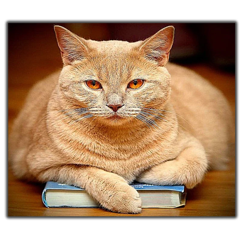 Сделай Сам алмазная картина вышивка крестом кошка лежа на книге рукоделие