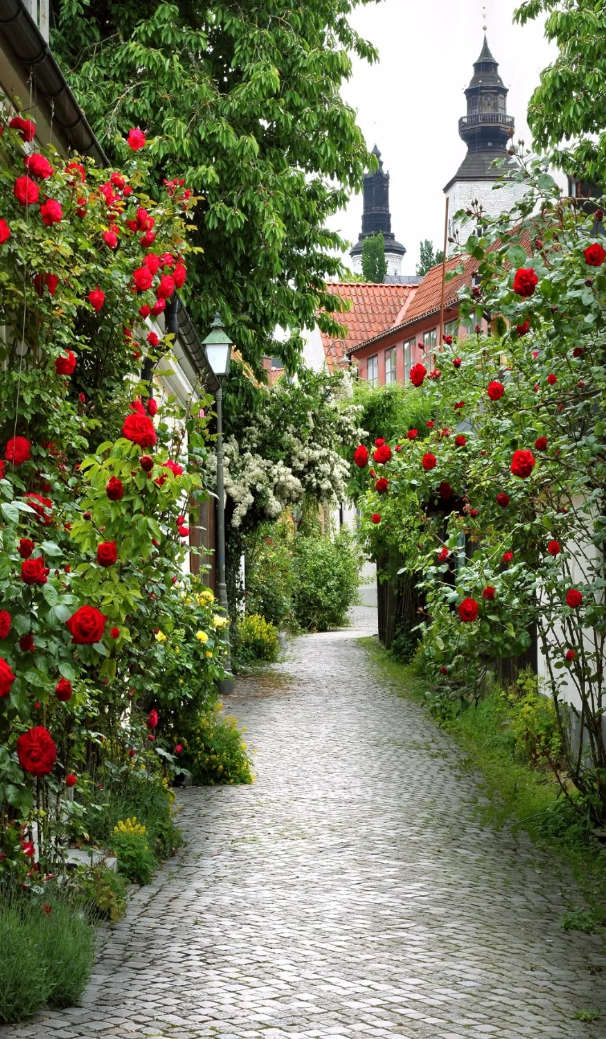 3D занавески уличный пейзаж фото спальня окно для штор романтические розы Блэкаут