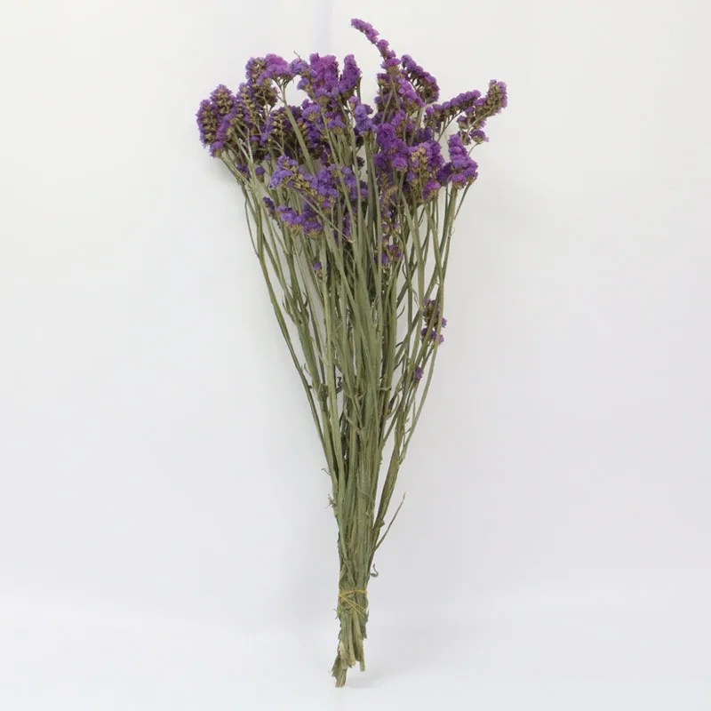 55 см натуральный воздушный сушеный Forget-me-not букет из сушеных цветов Рождественские Свадебные украшения цветы семейные вечерние композиции цветов - Цвет: Фиолетовый