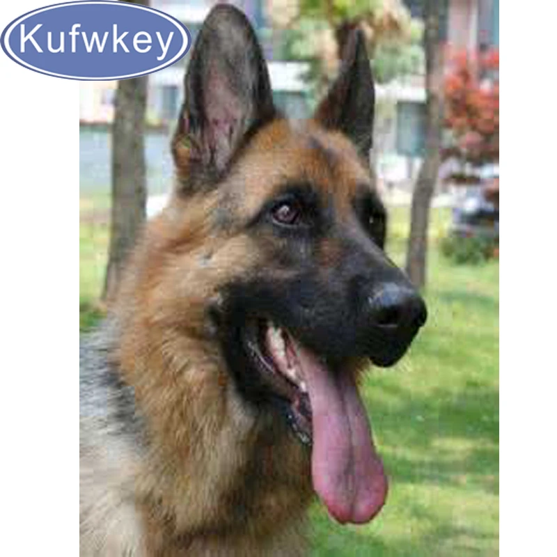 Алмазная 5D Вышивка сделай сам распродажа алмазная живопись с животными немецкой