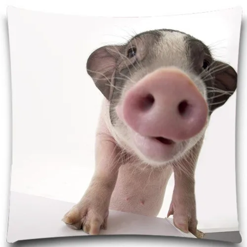 

5 siz 9 style Pigs Square 45*45 cm creative pillow case office Wedding bedding couch Vintage home decorative