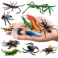 12pcs insect spider butterfly fish dinosaur dog cat horse figurine farm animal model action figure hot toy set for children gift