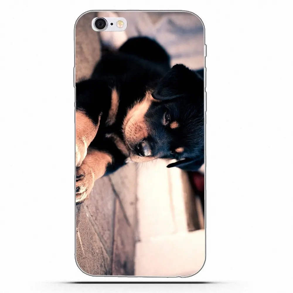 Чехол от бренда Wexoeq Rottweiler с изображением собаки чехол для Apple iPhone 4 5 5C 4S SE 6 6S 7 8 Plus X |