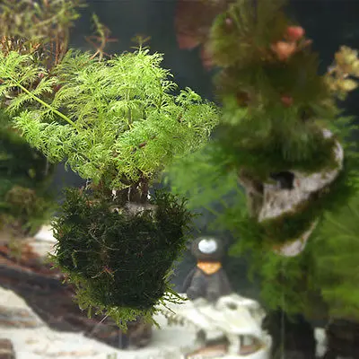 1 шт. высококачественное уникальное аквариумное украшение из сырой пемзы