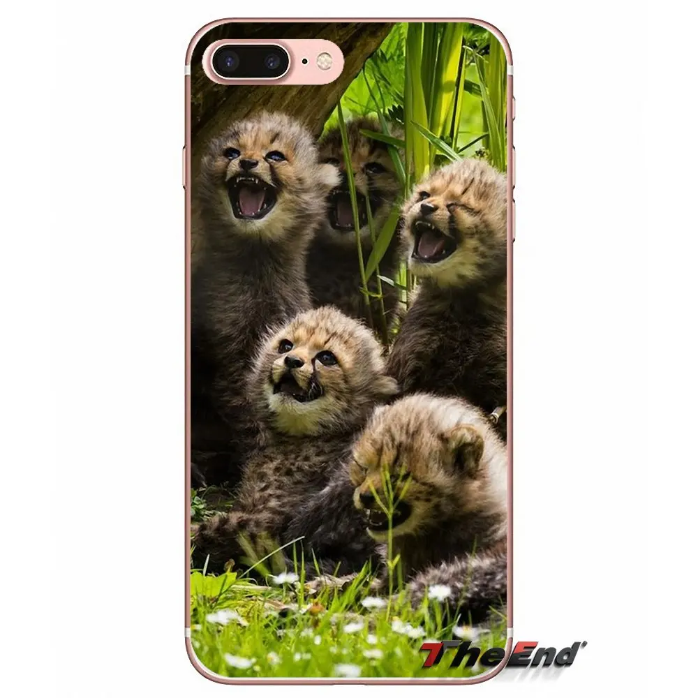 Мягкий чехол для iPhone X 4 4S 5 5S 5C SE 6 6S 7 8 Plus Samsung Galaxy J1 J3 J5 J7 A3 A5 2016 2017 Baby Cheetah Full Speed Sunset|case