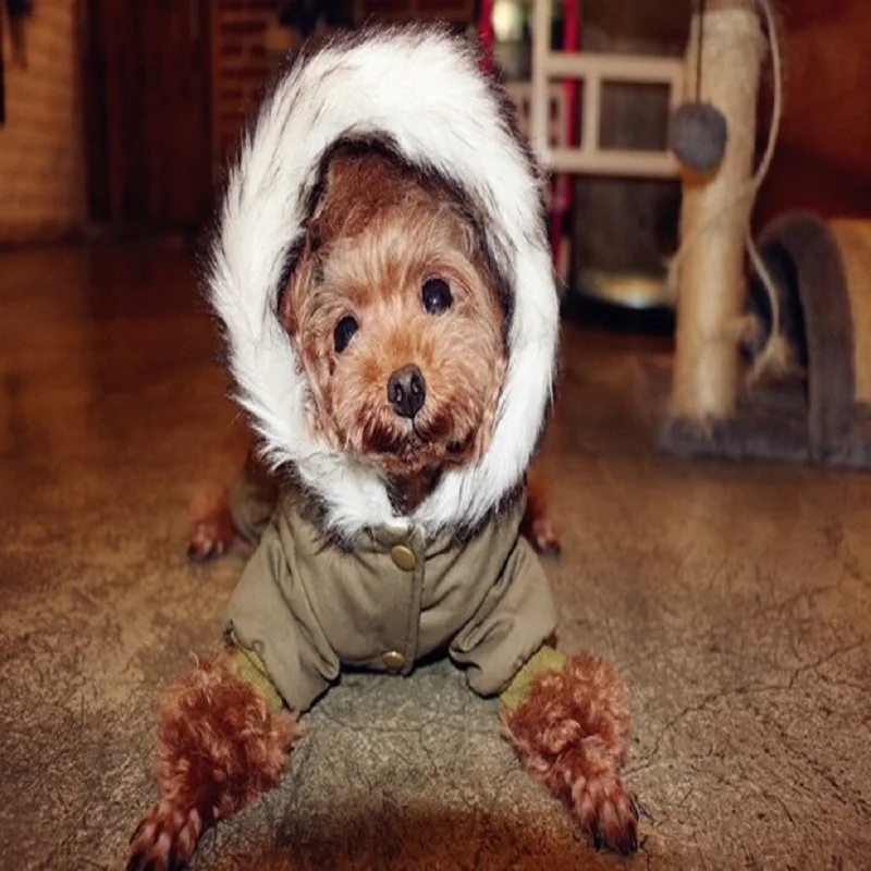 Зимнее хлопковое пальто для домашних животных одежда собак теплая маленьких