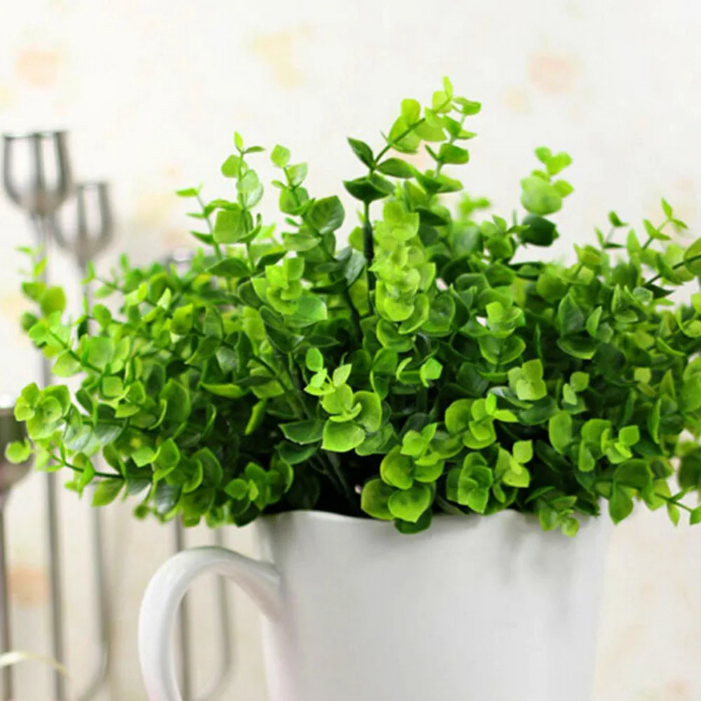 7 отделений листья травы небольшой эвкалипта цветы денежное моделирование