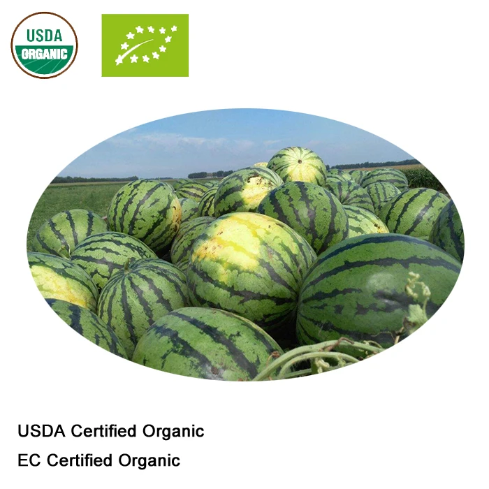 Сертифицированный USDA и EC органический порошок сока арбуза|Товары для похудения| |