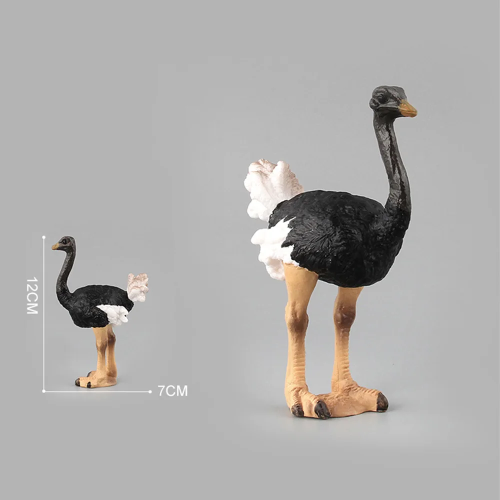 C00321 Игрушки для животных, детские игрушки, подарок, рысь, орангутан, крокодил, Страус, кабан, модель, фигурка, игрушки, фигурка, куклы - Цвет: C00321