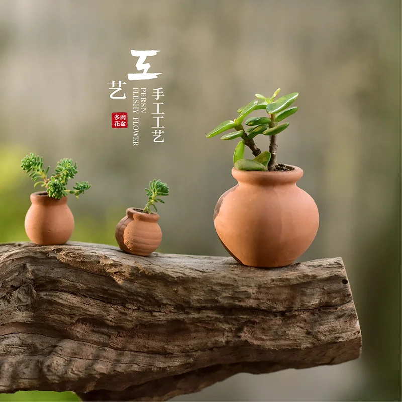 Миниатюры для террариумов Мини садовые аксессуары карманные мясистые цветочные