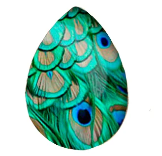 5pcs 18*25mm Peacock Feather Abstract Feathers Art Nouveau Handmade Photo Glass Drop Style Cabochons Jewelry Accessories | Украшения и