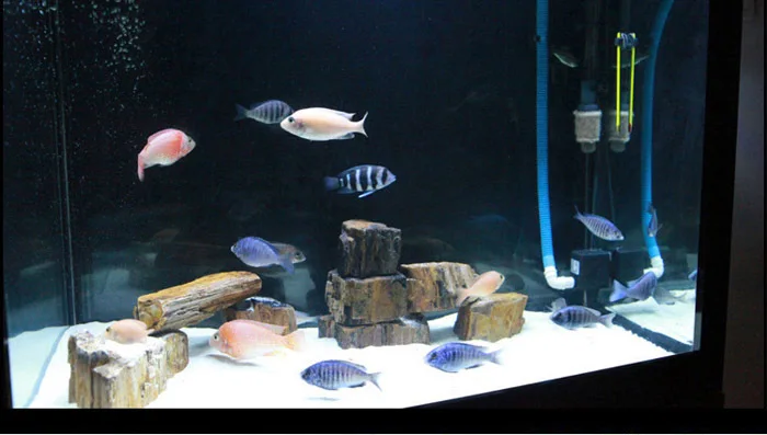 500 г белый красивый кварцевый песок украшение для аквариума дома сада ваза|decorations