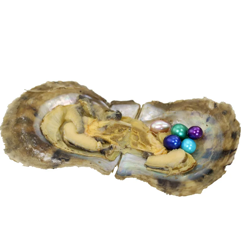 Соленая вода вакуумная упаковка Oyster shell с Quins набор Love Wish Pearls AAA класс многоцветный
