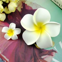2pcs sunny bright plumeria flower photos background accessories diy decorations for cosmetic jewelry gifts photography ornaments