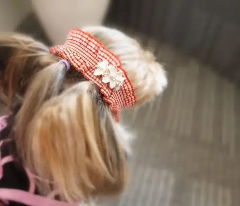 

Pet dog teddy Yorkshire Maltese long hair lace headdress with elastic headband