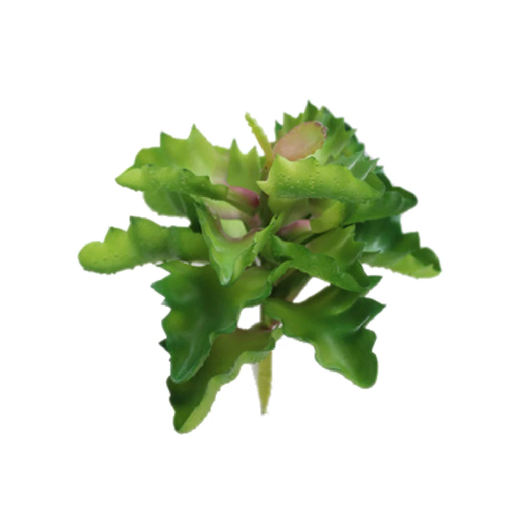 Реалистичный Sedum искусственный суккулент букет фруктов большой лист декор из
