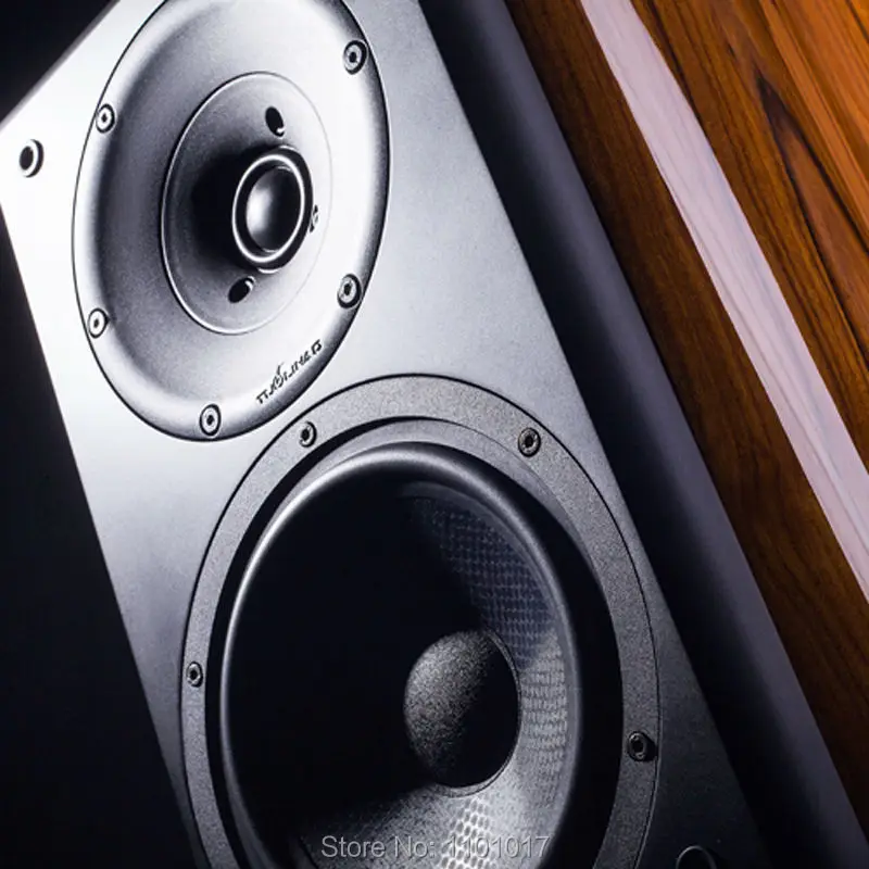 Новейшая Колонка Tuolihao X6 колонки Hi Fi EXQUIS специально для усилителя|speaker ipod|speaker volume