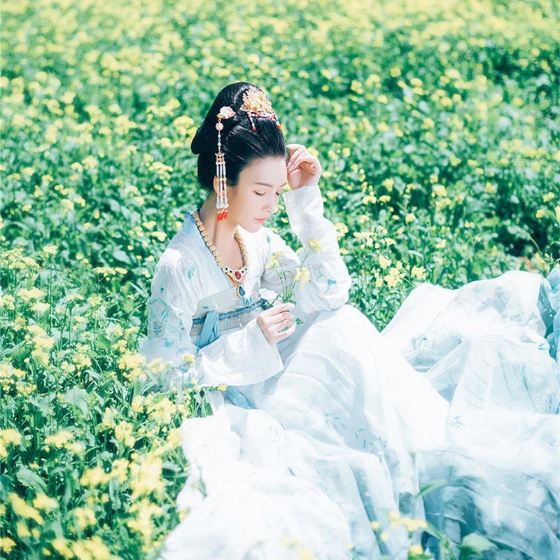 2019 вышивка Hanfu для женщин Традиционная сценическая одежда взрослых династии Мин