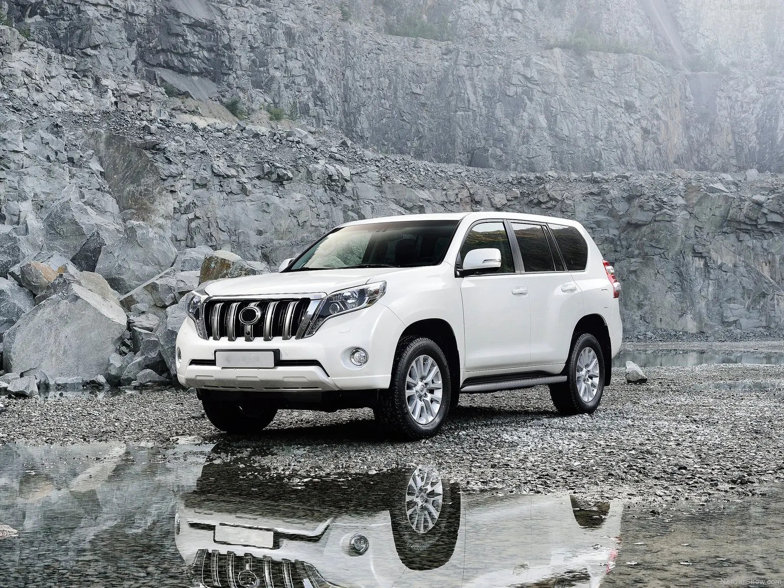 2014 2017 аксессуары для Toyota Land Cruiser Prado 150 хромированная защитная решетка гоночных