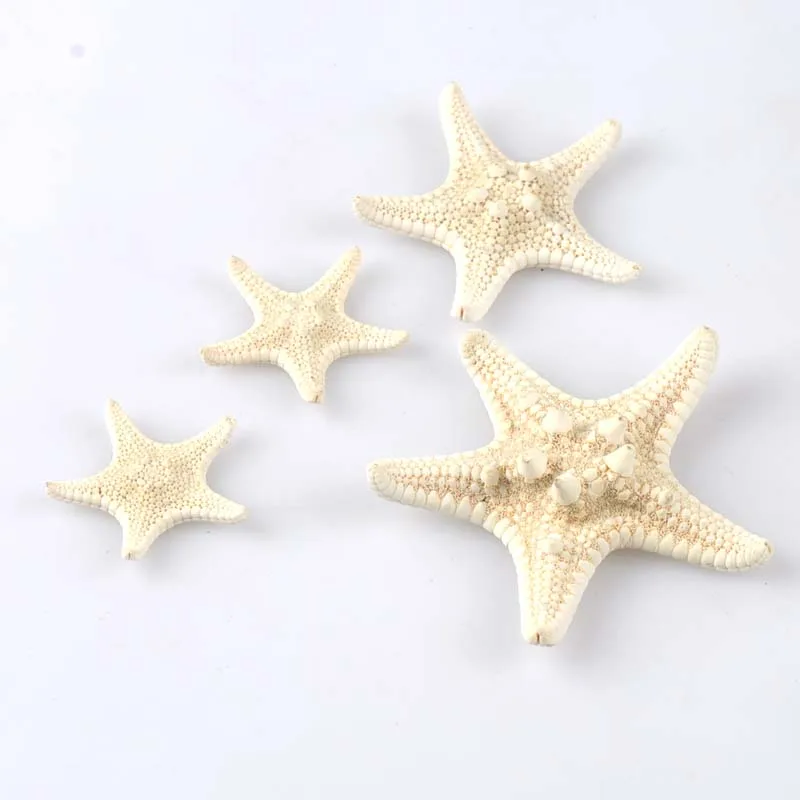 5 шт. 2 4 см натуральные бежевые морские ракушки морской звезды для свадебного