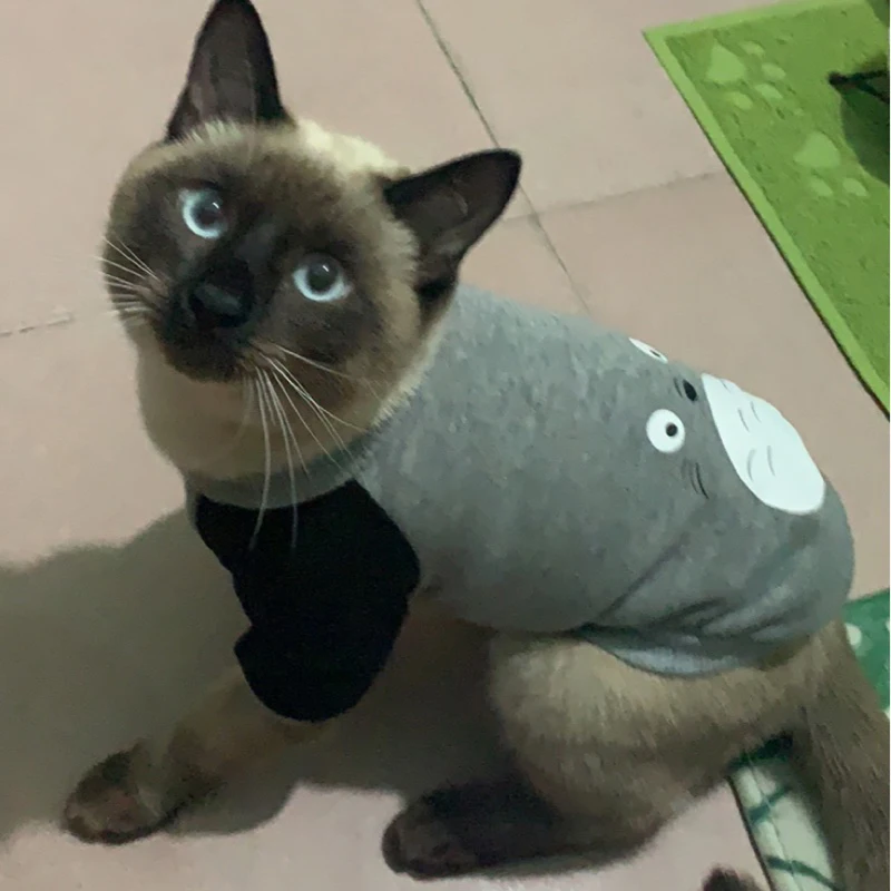 Костюм кота из мультфильма; милая уютная одежда для домашних животных; Одежда для кошек; толстовка с капюшоном; Mascotas Gato; свитер для кошек; одежда для домашних животных