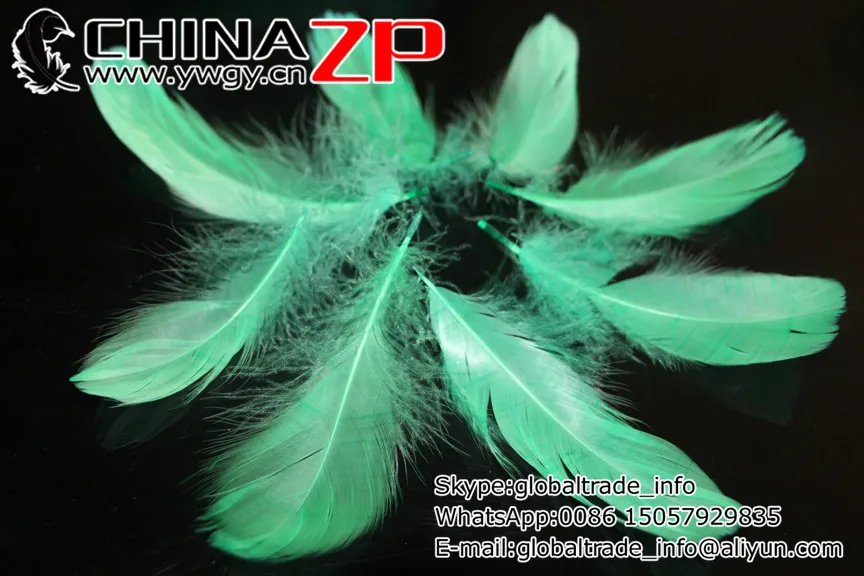 Золото оперение поставщик chinazp завод 200 шт./лот уникальный Натуральный Крашеный