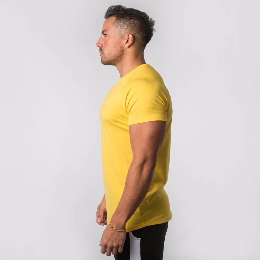 ALPHALETE летняя Новинка для мужчин тренажерные залы футболка фитнес бодибилдинг тонкие футболки Мода для отдыха с коротким рукавом хлопковые футболки топы