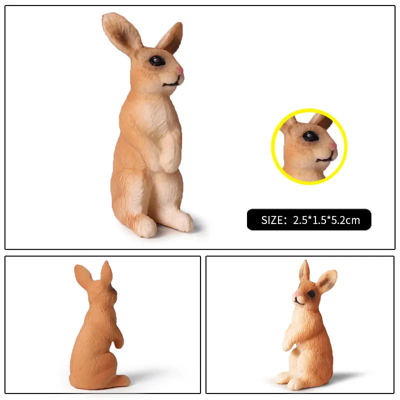 4 шт. детская игрушка кролик|animal model|animes actiontoys for |