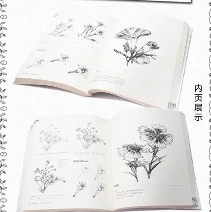 

2 Books Natural landscape painting and 87 Well-known Flowers book white black sketch drawing book Chinese pencil art book