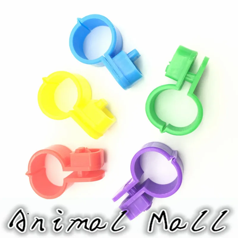 500 шт ПЭТ птицы перепелиный попугай голубь 5 видов цветов формула открытия