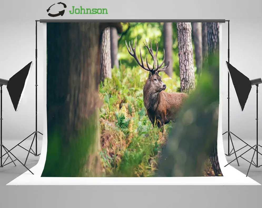 

Red Deer Stag Ferns Autumn Forest Bokeh backdrop polyester or Vinyl cloth High quality Computer print wall Background