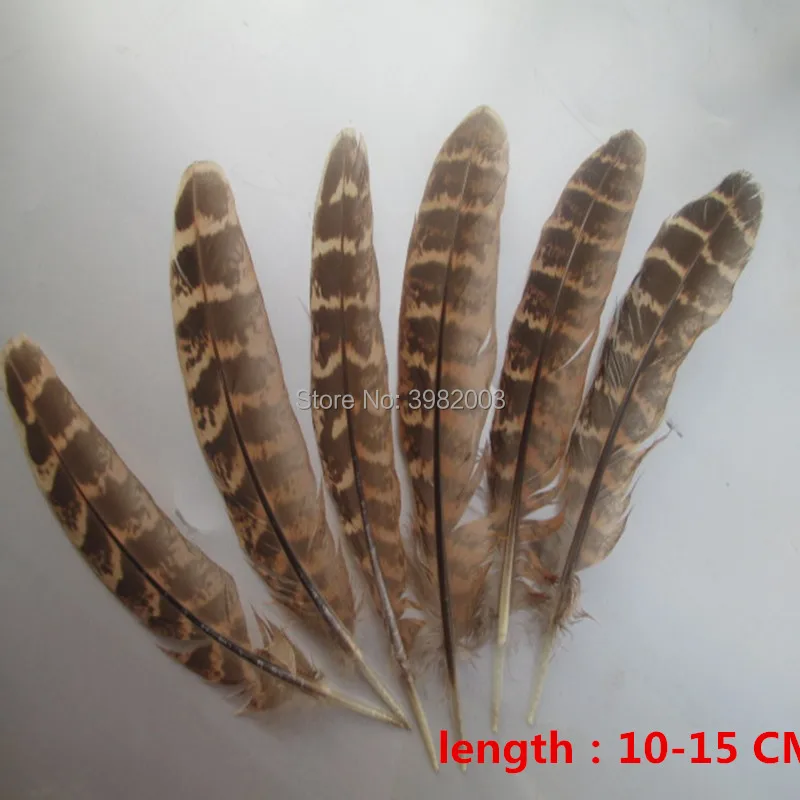 Разнообразие птиц перья! 20 шт./упак. Качество натуральные перья фазана, сделай сам, костюм ремесла украшения