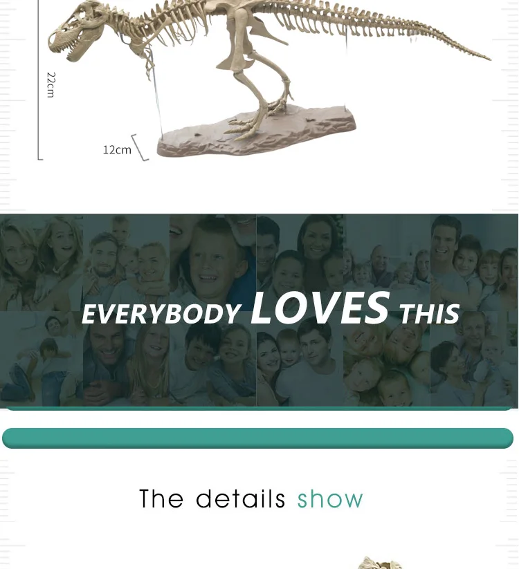 Моделирование 4D собранная модель большой тираннозавр рекс Fossil животная модель Diy обучающие игрушки для детей динозавр модель