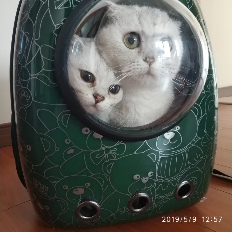 Рюкзак для домашних животных, сумка на плечо для собак, нагрудная сумка, переносная дорожная дышащая сумка принадлежности для домашних животных, рюкзак
