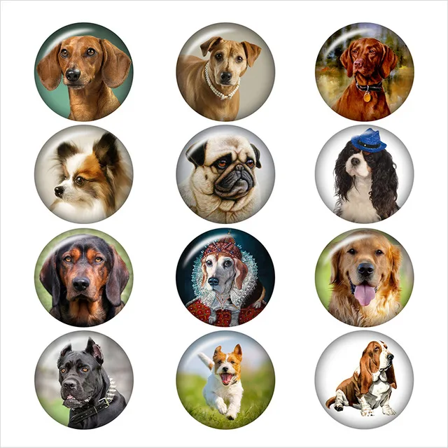 

50PCS Mixed Glass Snap Button Jewelry Fashion Pet Dog For DIY 18MM Button Snap Bracelet Necklace Jewelry