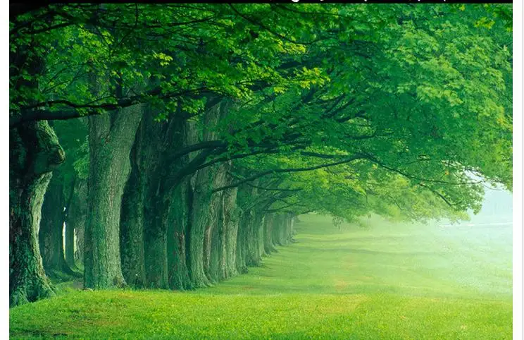 

Custom photo wallpaper 3d wall mural Natural landscape background mural woods, trees, tree park wall paper paintings home decor