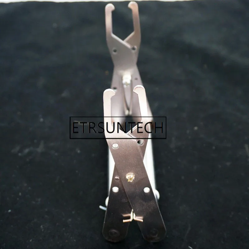 50 шт. держатель из нержавеющей стали|Инструменты для пчеловодства| |