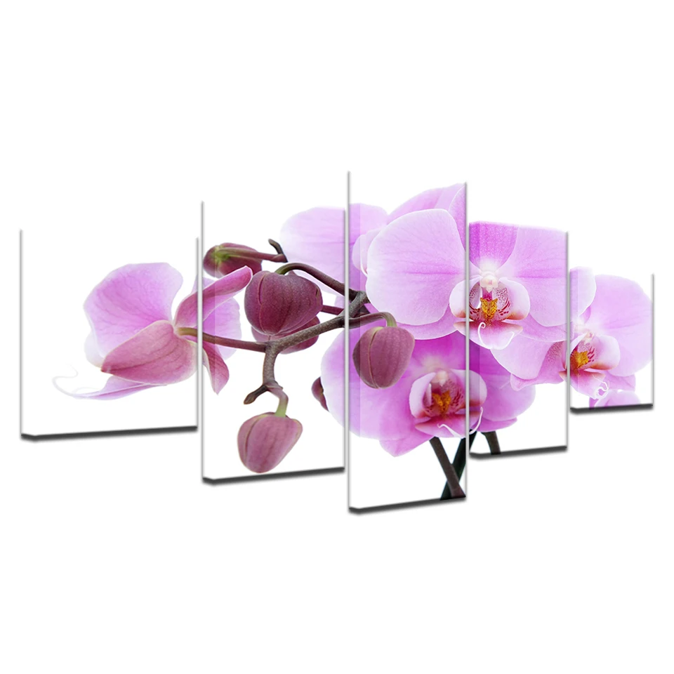 5 шт. Принт плакат Модульная картина розовые орхидеи украшения Картина маслом